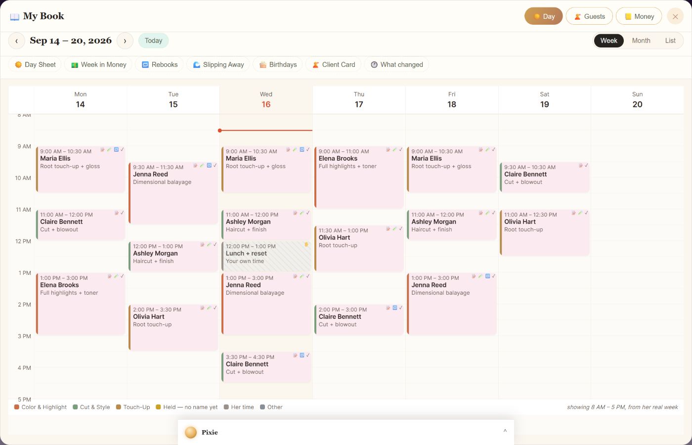 Pixie desktop calendar rendered from the actual product using fictional appointments
